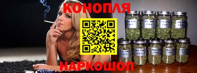 гашик Краснодар