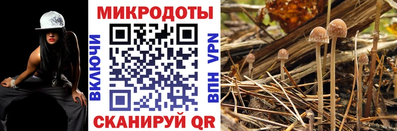 Галлюциногенные грибы Cubensis где продают Жуковский