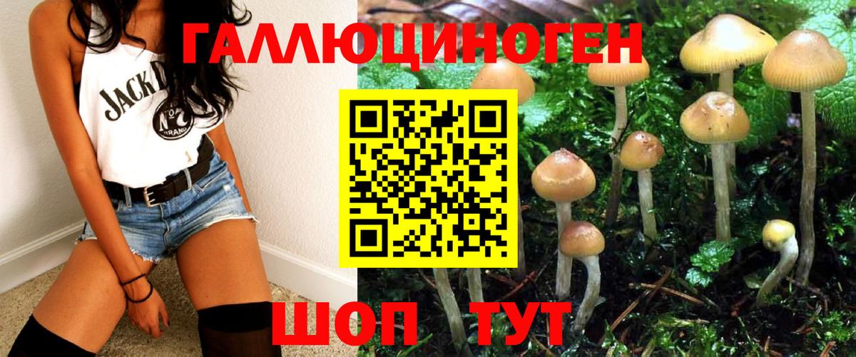 Псилоцибиновые грибы мицелий  Галлюциногенные грибы мицелий  Вход с VPN  Жуковский 