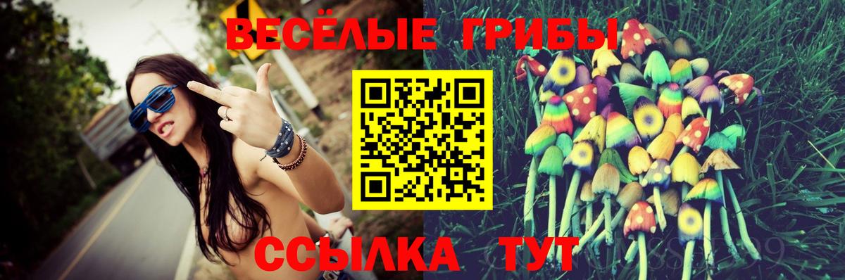 Галлюциногенные грибы GOLDEN TEACHER Жуковский