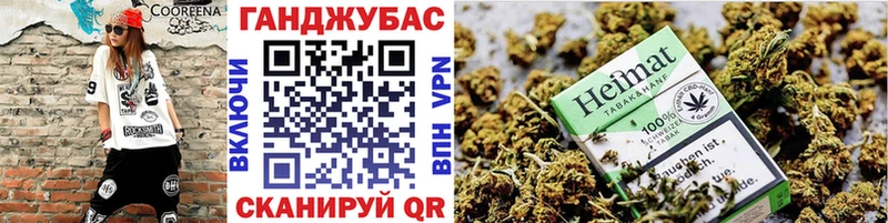 Каннабис план купить наркотики сайты Жуковский